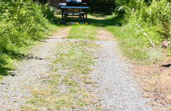 Cedar at Rainier Lodge (0.4 m from Mt.Rainier) - Photo 23