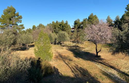 B&B Masia Katmandú - Foto 16