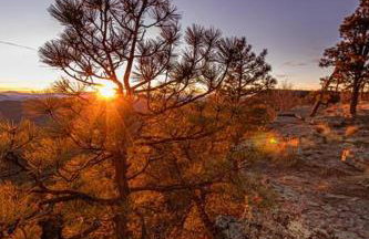 Forest Cabin 1 Hunters Blind - Photo 25