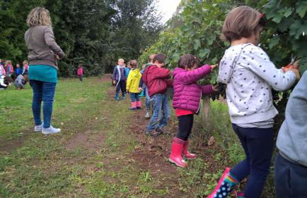 Agriturismo La Giannottola - Foto 65