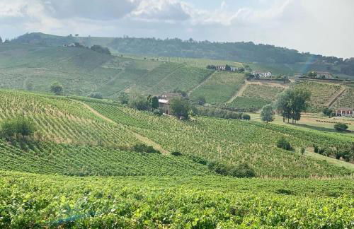 Bricco Aivè - Foto 14