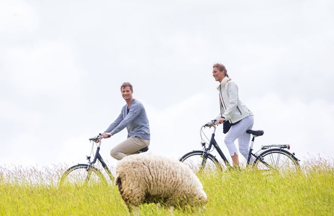Freie Sicht Das Nordsee-Gesundheitshaus 1 - Foto 40