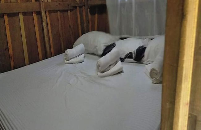 Surfer'S Villa - Foto 14