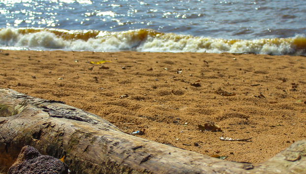 Excursión a la isla de Mosqueiro