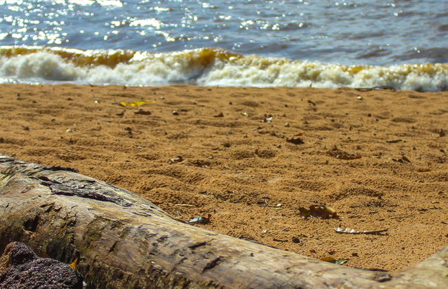 Excursión a la isla de Mosqueiro - Foto 4