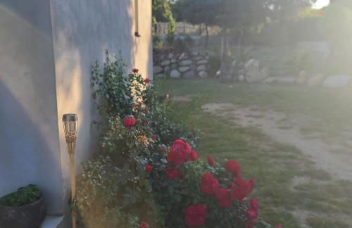 Casa di l Alivetu - Foto 3