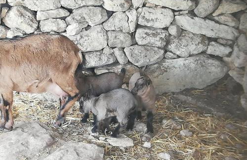 Le Grotte di Sileno - Foto 40