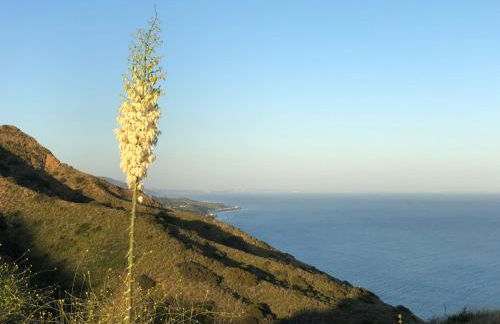 Malibu Ranch Guest House Hideway - Foto 35