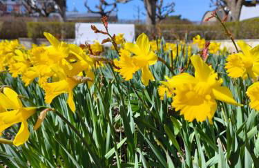 FeWo Renken - Foto 44