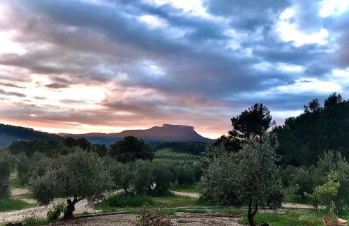 Casa Rural Cortijo La Ajedrea - Foto 46