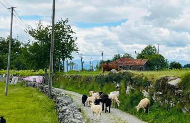 Casa das Castanhas - Cinfães, Viseu - Foto 63