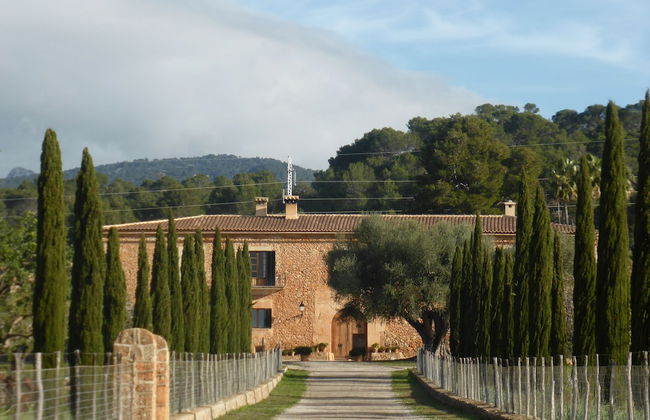 Finca Es Cabas - Photo 61