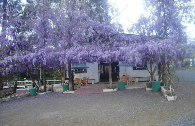 Harry World Parque Hotel - Photo 19