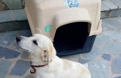 Guesthouse "Athina" - Foto 16