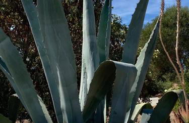 AltaMarea - Luce, spazi ampi e comfort al centro del paese - Photo 29