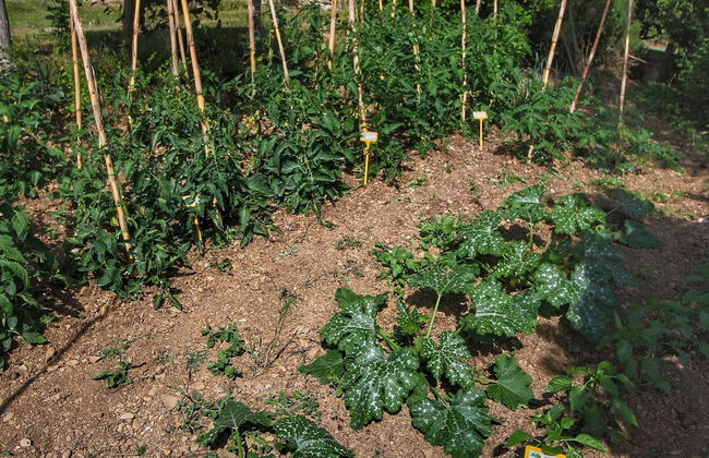 Belvilla by OYO Club House - Foto 32