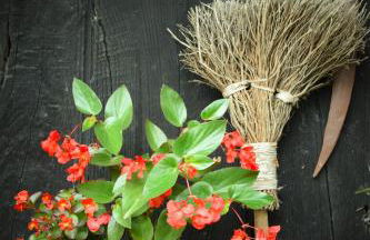 Anikuenea landa apartamentuak - Foto 27