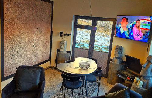 Apartamenty Spokoloko Ostoja Beskidy ARKTYKAloft i Rapa Nui - Foto 14