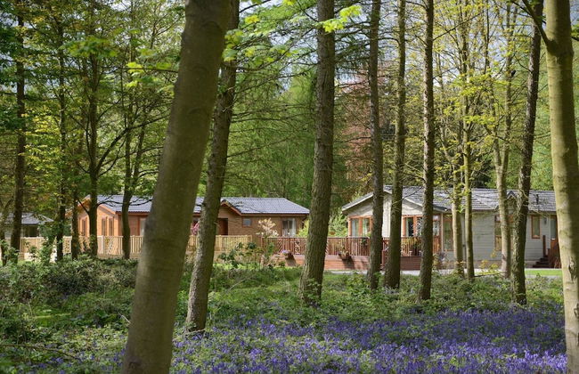 Hollicarrs - Wildflower Lodge - Foto 23