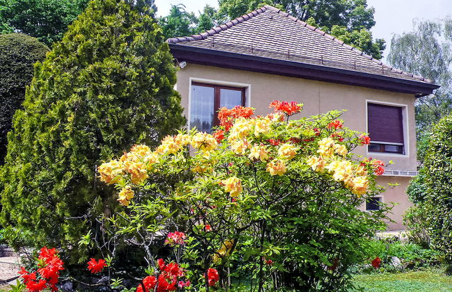 5, chemin de la Pralay - Foto 16