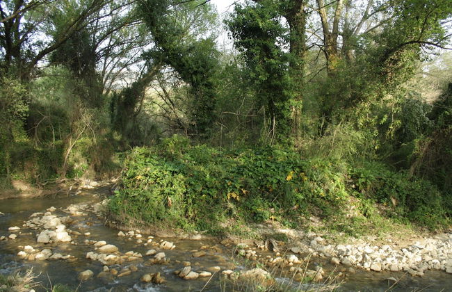 Il Bevaio di Corleone - Photo 47