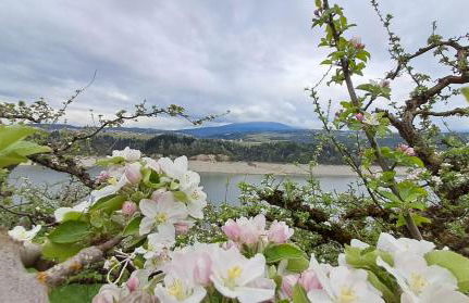 Casa vacanze Da Bianca - Photo 28