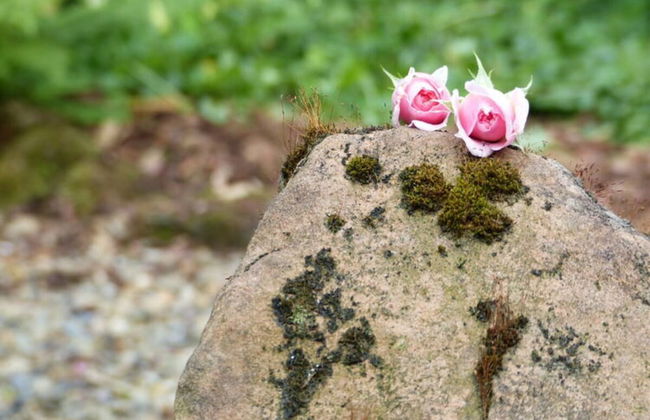 Werts HOF Apartment 2 - Foto 16