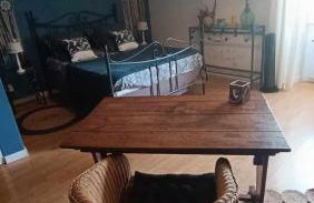 Meublé de tourisme Petit Chail Saint Savinien - Foto 10