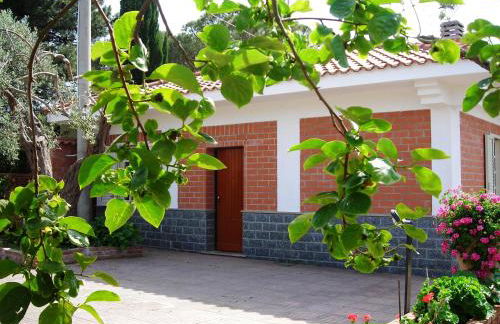 Il Giardino sul Mare - Foto 34