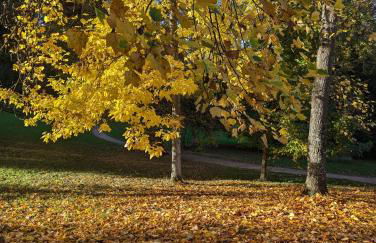 Park-Appartements - Foto 47