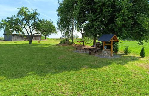 Siedlisko u Agi nad Biebrzą - Photo 8