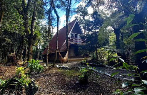 Cabana dos Alpes - Foto 5