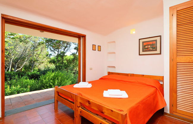 Terre Rare - Foto 10