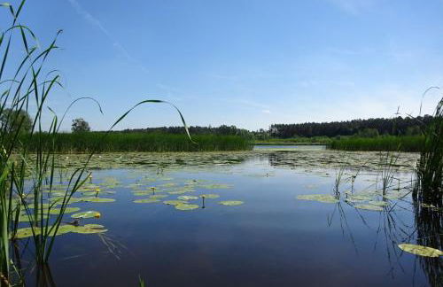 Ferienanlage Waschbär Country - Photo 49