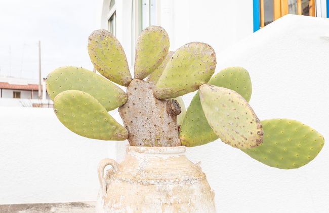 Villa Pisa 1 primo piano - Foto 33