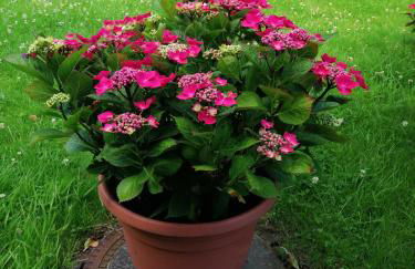 Traumlage-Maasholm - Foto 72