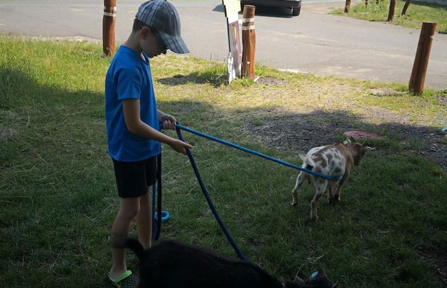 Zoopark Zelčín - Foto 41