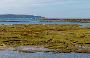 Sailmaker's Cottage - Foto 42