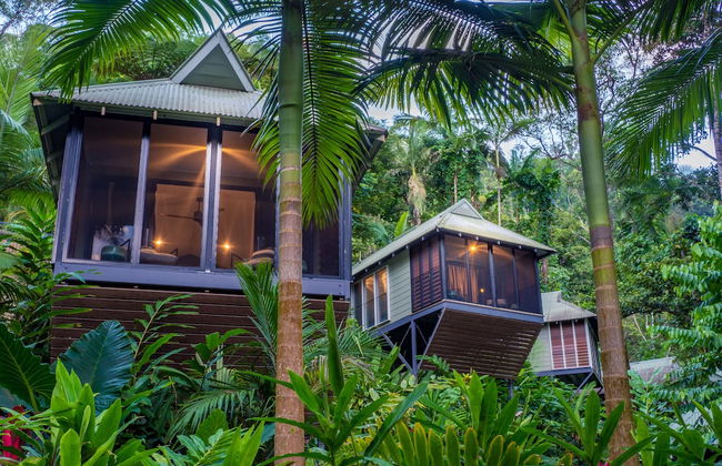 Daintree Ecolodge - Photo 11