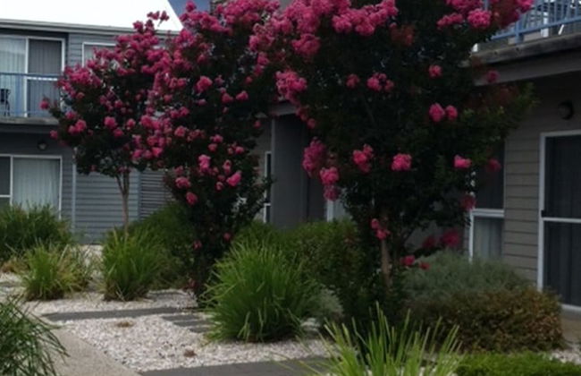 Quest Williamstown North - Foto 24