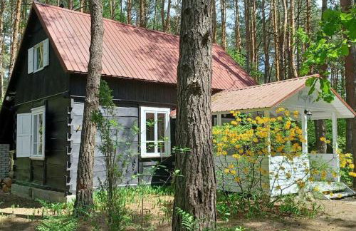 Wilga - urokliwy dom z bala (50 km od Warszawy) - Foto 1