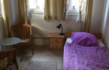 Biogut Evensen - Foto 34