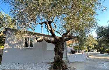 Κτημα Εριφυλλη - Foto 50