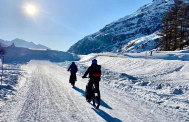 Chalet Les Cocales - Séjour et nuitées - Appartement Pin Cembro - Foto 26