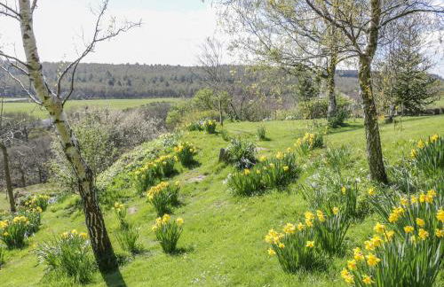 Swallow Cottage - Foto 17