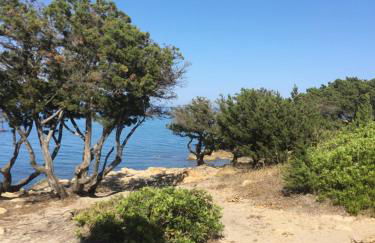 La casa di sara - Foto 12