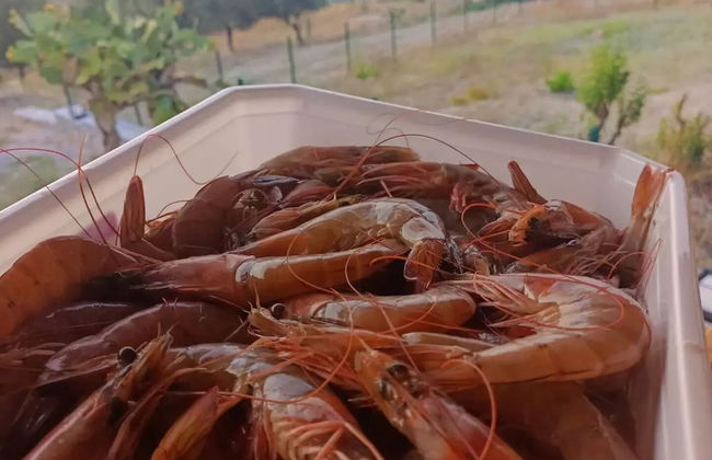 Hayela Bungalov Otel ve Restaurant - Foto 9