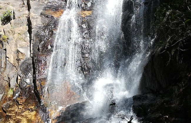 Madrugada Magic - Foto 1