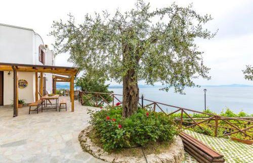 Starhost - La Casella seaview garden terrace and parking - Foto 3