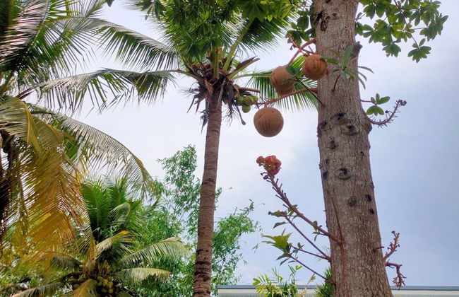 Flora Land Resort Chiang Mai - Foto 32